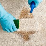 7 Best Ways on How to Remove Dry Paint From Carpet